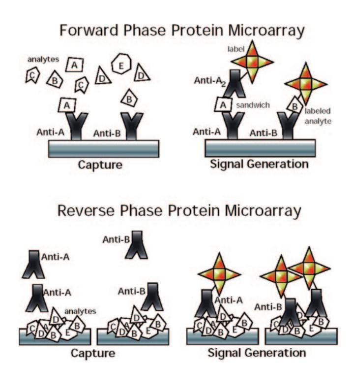 Protein Arrays Massively-parallel way to generate information regarding molecular interactions: protein-protein, protein-dna, protein-drug etc.