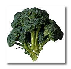 Prostate Cancer Plant sources of calcium Broccoli Dark