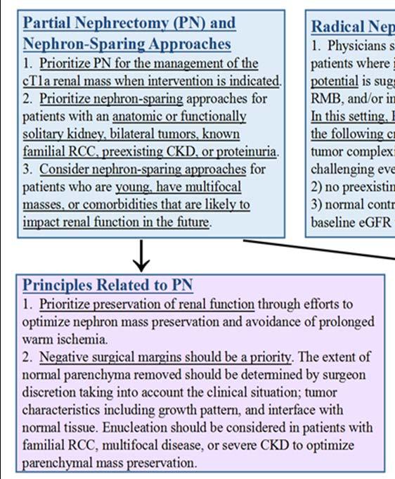 Partial Nephrectomy (PN) and Nephron-Sparing Approaches PN and