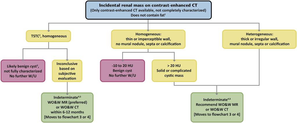 Fig 2. Flowchart for managing an incidental renal mass on contrast-enhanced CT. 1 If the mass contains fat attenuation (a region of interest < 10 HU), refer to Figure 5. 2 Too small to characterize.