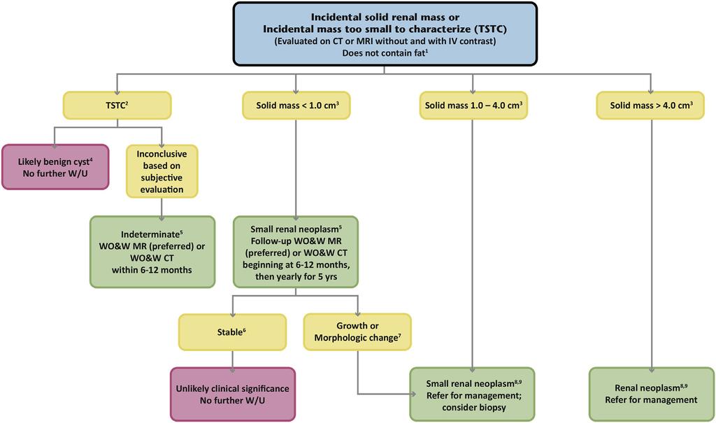 Fig 4. Flowchart for managing for a completely characterized solid renal mass or renal mass too small to characterize on CT or MRI performed both without and with IV contrast.