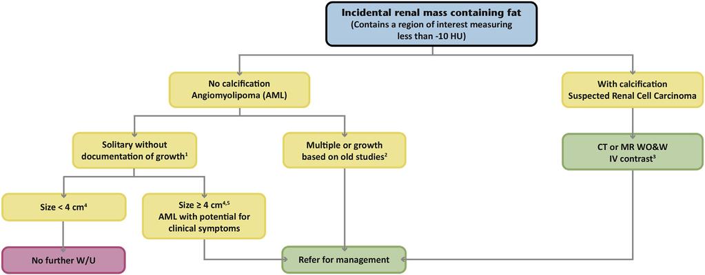 Fig 5. Flowchart for managing an incidental renal mass with a region of interest measuring fat attenuation (less than 10 HU).