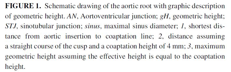 Aortic Regurgitation and Aortic Aneurysm