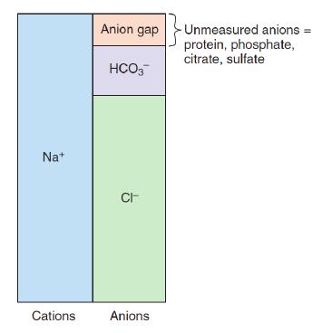 familiar with whatever works for you. If a patient is in metabolic acidosis, their anionic gap will be affected because they have low HCO3- and something needs to take its place.
