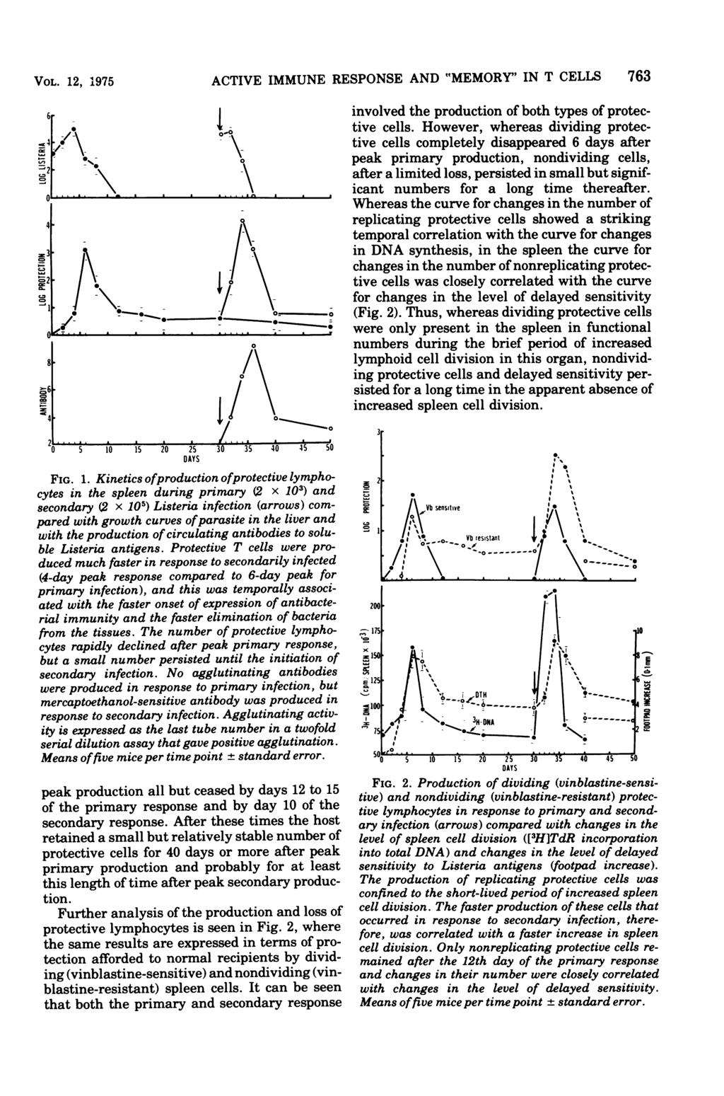 VOL. 12, 1975 ACTIVE IMMUNE RESPONSE AND "MEMORY' IN T CELLS 763 involved the production of both types of protective cells.