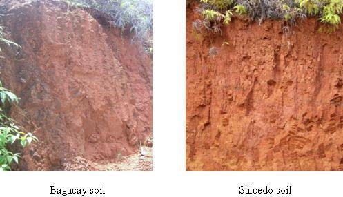 Heavy Metals Content of Two Red Soils 167 Figure 3. Soil profile of the two red soils evaluated in Samar, Philippines 70 plus).