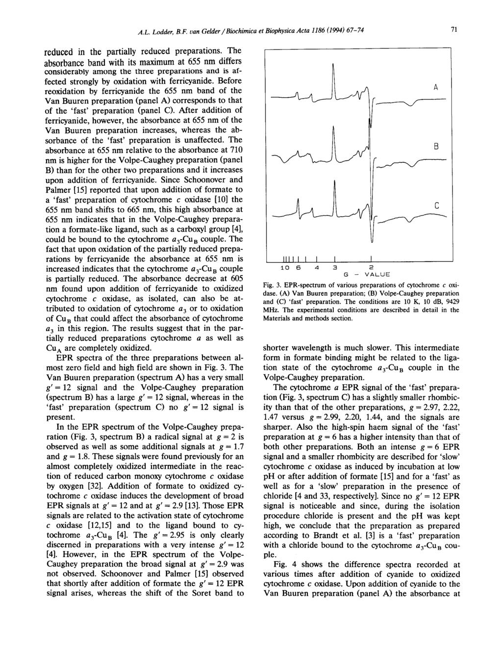 A.L. Lodder, B.F. van Gelder / Biochimica et Biophysica Acta 1186 (1994) 67-74 71 reduced in the partially reduced preparations.