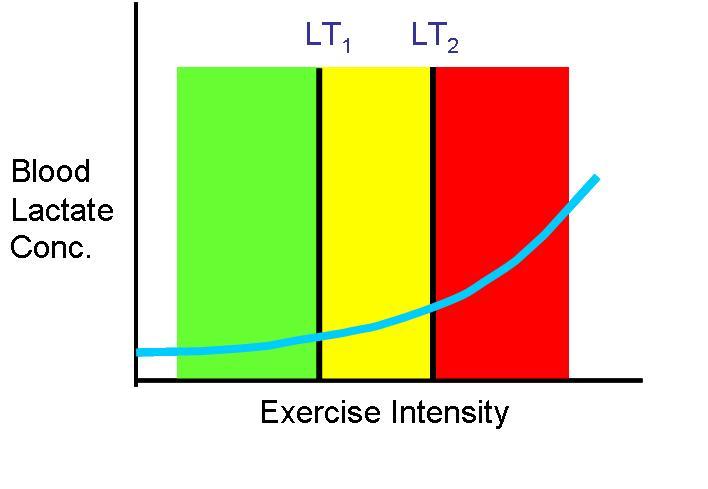 The bottom line is that exercise intensities about the LT2 point can only be sustained for a few minutes to perhaps one hour depending on how high the workload is above the intensity at which lactate