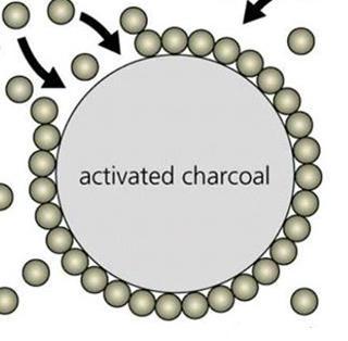 C. Adsorption Adsorbents can interfere with absorption of drugs from GIT.