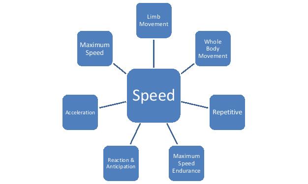 Figure 2: Most sports demand the expression of at least one type of speed (Dintiman & Ward 2011) In general, training procedures should seek to improve reaction and acceleration in virtually all
