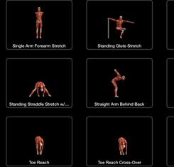 Users can easily identify a body part or individual muscle by zooming into our 3-Dimensional human body with the musculature exposed.