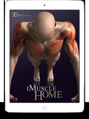 Achieve your fitness goals with imuscle Home in the comfort of your own home. Now available on the itunes App Store. Now go and enjoy your workout! App Specifications: Compatible with ipad 2 or later.