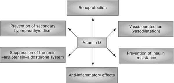 Effect of calcium and vitamin D on progression to DM Pittas et al Diabetes Care 30:980-86, 2007 500mg Ca + 700u D3 placebo Vitamin D in the aetiology of type 2 diabetes: published studies in humans