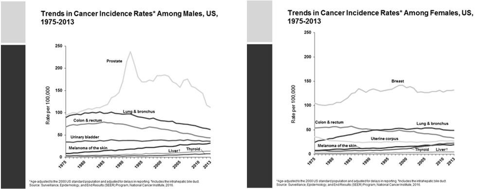 Relevance of Lung Cancer: Waning, Kind Of From American