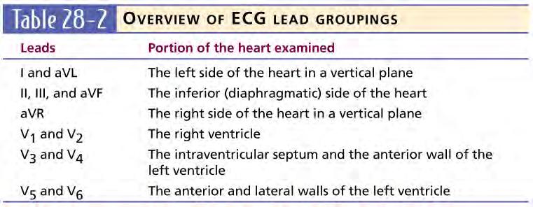 The Electrocardiogram (Page 1141) Lead Systems and Heart Surfaces The Electrocardiogram