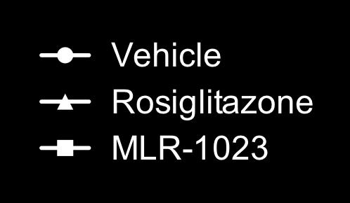 MLR-1023 administered in combination with rosiglitazone inhibited rosiglitazone-mediated weight gain.