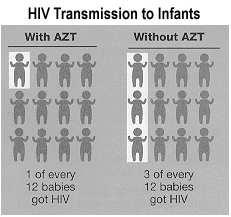 HIV Risk Reduction - Perinatal ACTG 076 (1993) demonstrated giving zidovudine to pregnant HIV+ women decreased vertical transmission to 8% (control group had 25% vertical transmission rate).