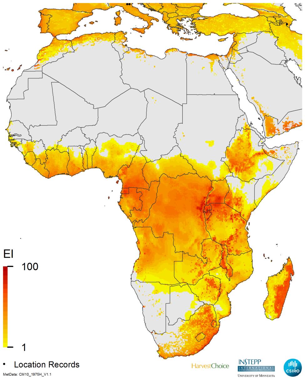 Figure 4. Modelled global climate suitability for Fusarium graminearum as a composite of natural rainfall and irrigation based on the irrigation areas identified in Siebert et al. (2005).
