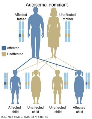 Page 10 Autosomal dominant inheritance Complex rules control the inheritance of many characteristics, and of many diseases. AFib amyloidosis is inherited in a fashion known as autosomal dominant.