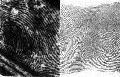 The amount of information is large and not all data needs to be assessed (FBI fingerprint image).