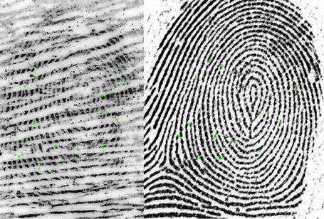 com fig 95, Mayfield fingerprint comparison) (CLPEX, 2015; Saks & Koehler, 2005).