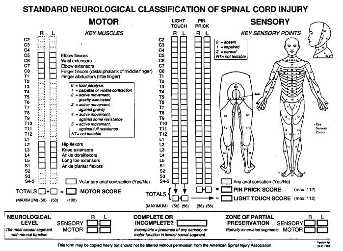 Figure 1.5 American Spinal Injuries Association Classification Grades and Impairment Scale (1996) Neurological classification of SCI (ASIA / IMSOP).