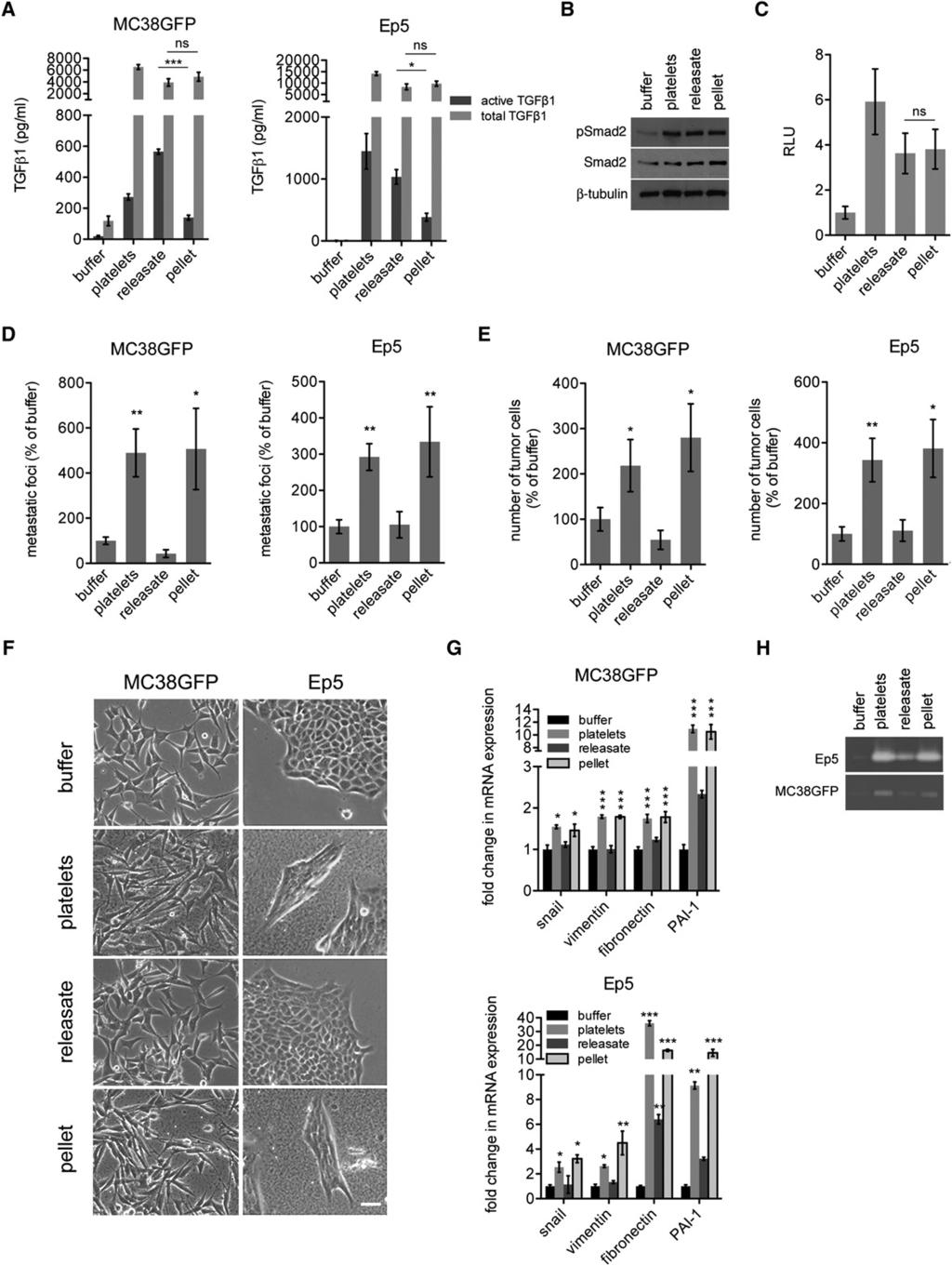 Cancer Cell Platelet-to-Tumor Cell Signals Promote Metastasis Figure 4.