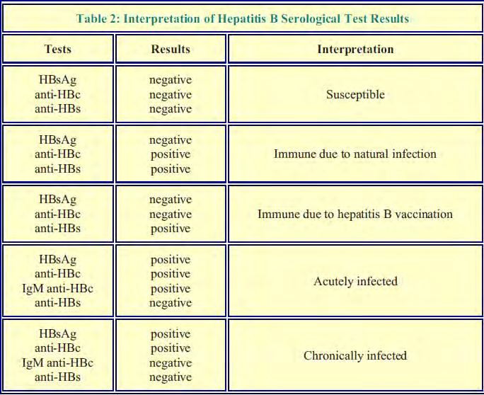 Diagram from : Hepatitis B Virus - Methods in Clinical Analysis Kaplan et al 2009 HEPATITIS B: INTERPRETATION
