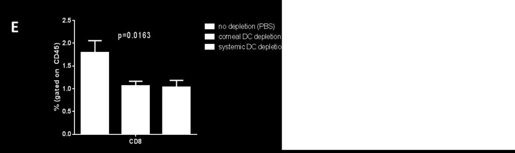 both cornea-derived and DLN-resident DC (systemic DC depletion) up to 7 dpi, or PBS (no DC depletion).