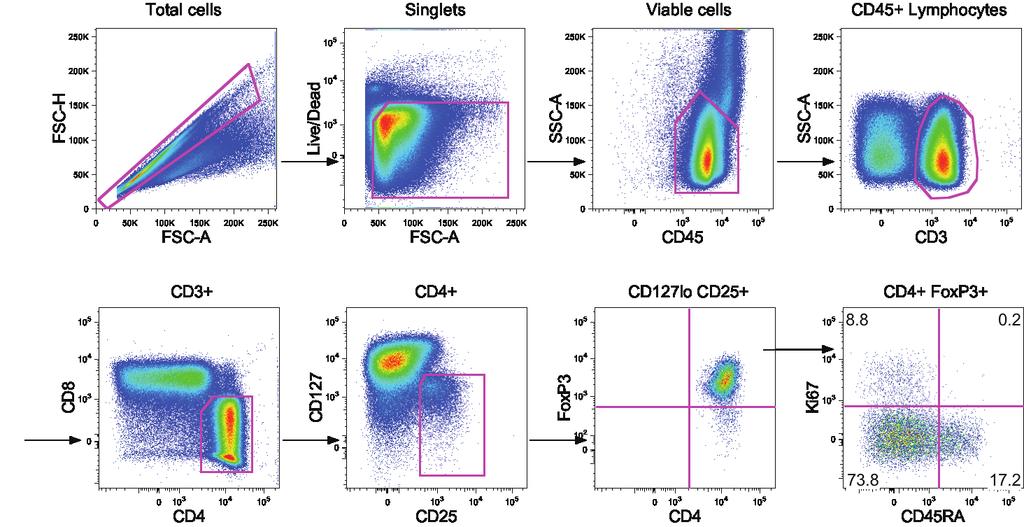 Walter et al., Supplementary Figure 4 Supplementary Figure 4 Representative flow cytometry plots showing the detailed gating strategy for quantification of regulatory T cells (Tregs).