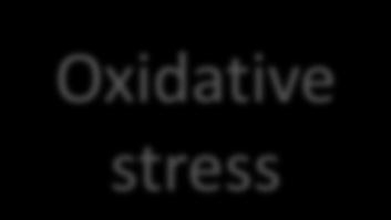 Oxidative stress injury