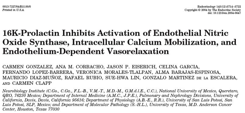16kDa Prolactin interfers with endothelial
