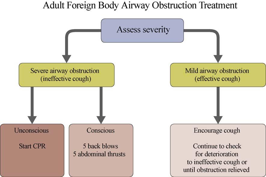 1286 R.W. Koster et al. / Resuscitation 81 (2010) 1277 1292 Fig. 2.17. Adult foreign body airway obstruction treatment algorithm.