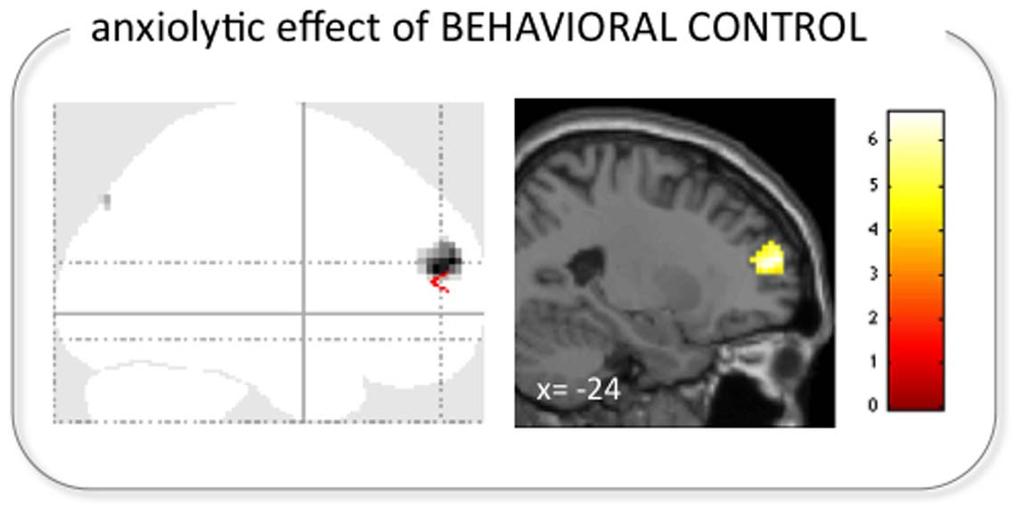Fig. 5. Left DLPFC correlated with the anxiolytic effect of the behavioral control modulation. Activation in the left DLPFC was related to relatively lower ratings of anxiety (i.e., the composite score of perceived threat and helplessness) during the control modulation (p,0.