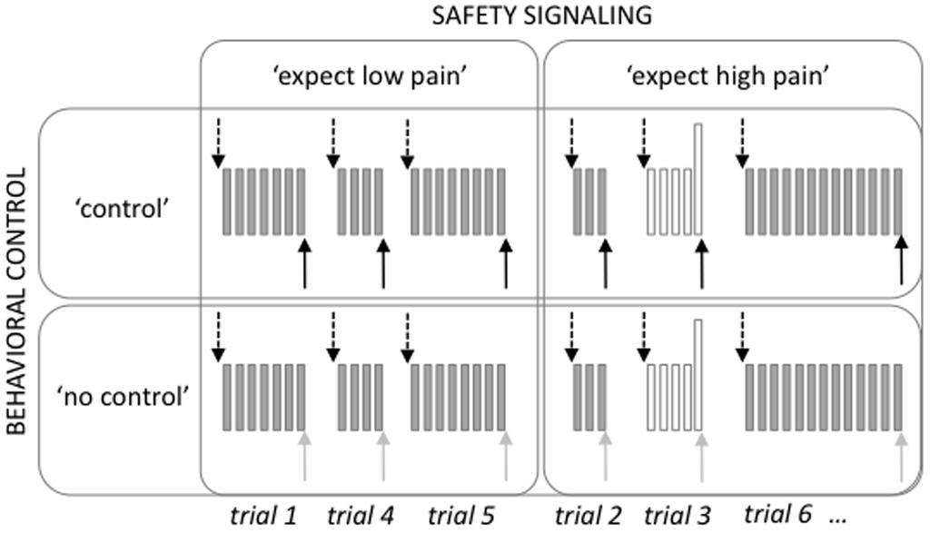 Fig. 1. Study design. We used a 262 factorial design with the factors BEHAVIORAL CONTROL modulation (i.e., control vs. no control over the noxious stimulation) and SAFETY SIGNALING modulation (i.e., expect low pain vs.