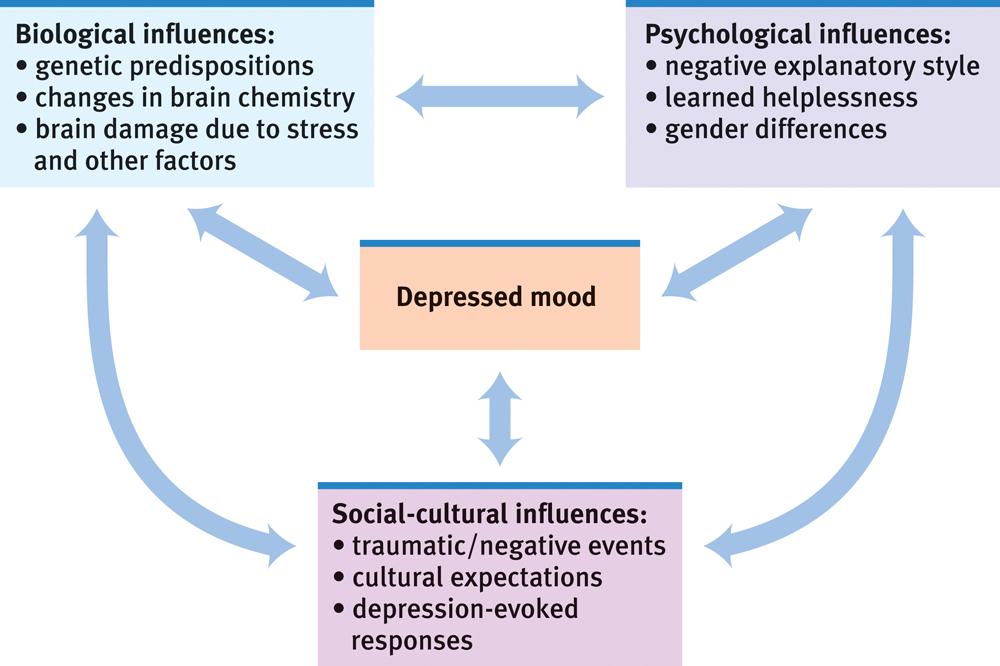Understanding Mood Disorders The Biopsychosocial Model: Can you predict the biological,