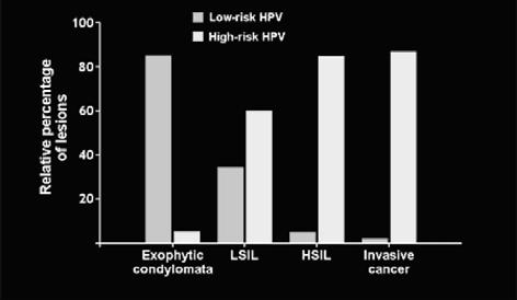 High Risk HPV Infection Is A Necessary Cause of Cervical Cancer Infection with oncogenic HPV type is the most important risk factor in cervical cancer etiology.