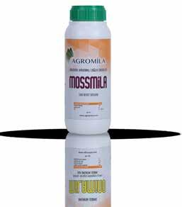 MOSSMİLA It is a perfect fertilizer obtained through enrichment of alginic acids, derived from post-tide seaweed dried using special techniques without exposition to sunlight, with certain amino