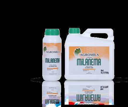 MİLANEMA MİLANEMA is a very special organic product fully derived from plant extracts that suppresses underground pathogens, makes the plant resistant to underground pests, and also stimulates plant