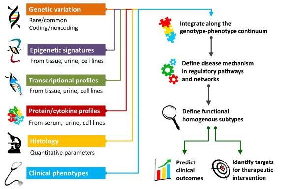 Neptune schema for integrative genomics of nephrotic syndrome* *Sampson et al.