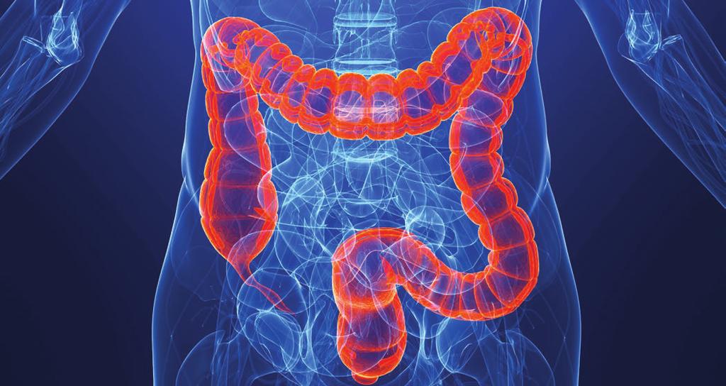 Colorectal Cancer Screenings Can Save Lives As you get older, you become prone to certain diseases. Colon cancer is one of them.