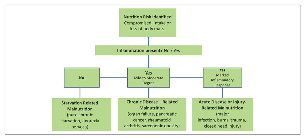 Etiology-Based Malnutrition Diagnoses From: White JV et al.