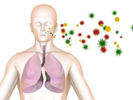 The flu virus will break down a person s lung defense, which allows the bacteria to grow rapidly. During the winter flu season of 2006-2007, 24 healthy, young people died from MRSA-related pneumonia.