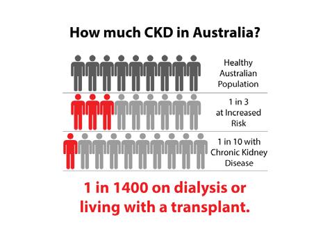 Executive Summary New Policy Proposals Chronic Kidney Disease (CKD) is a major health problem, and one that is growing.