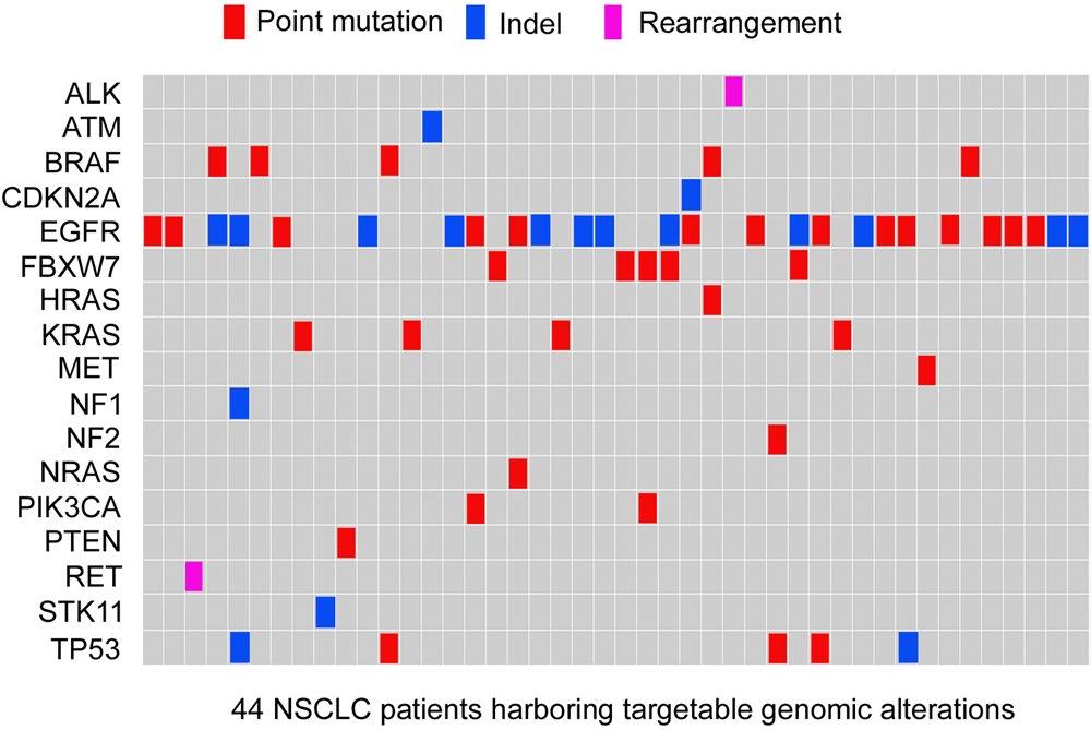 Figure. Comprehensive annotation of 44 NSCLC patients harboring targetable genomic alterations. proportion of patients.
