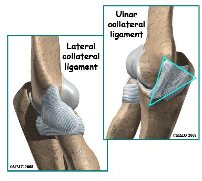 The ligaments around a joint usually combine together to form a joint capsule. A joint capsule is a watertight sac that surrounds a joint and contains lubricating fluid called synovial fluid.
