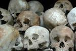 You will understand: How anthropologists can use bones to determine: Whether