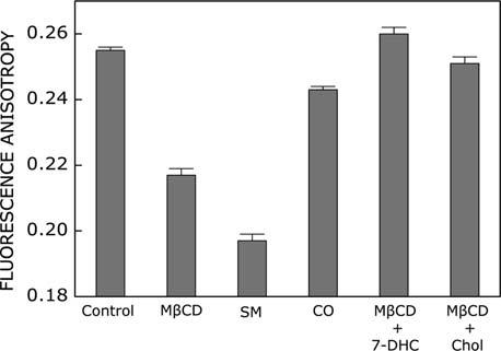 Cholesterol depletion in native hippocampal membranes was achieved using MβCD followed by replenishment with 7-DHC or cholesterol.
