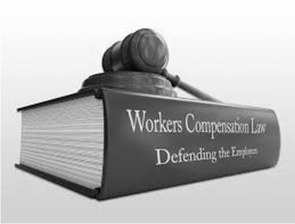 Social Component Worker s Compensation Home concerns Financial concerns