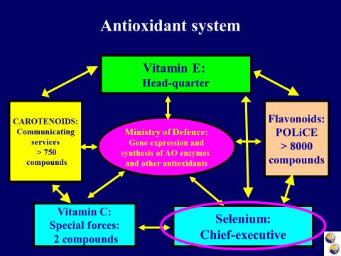 Vitamin E and Se: does 1+1 equal more than 2?
